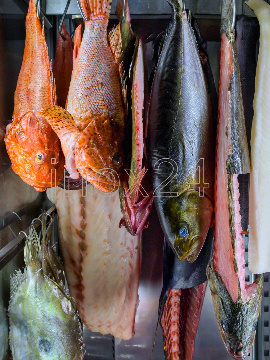 Ψυγείο Ωρίμανσης Ψαριών DRY AGE EVERLASTING 700 Ιταλικό - Image 4